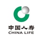 中国人寿财险淮南中心支公司ico