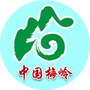 中国梅岭旅游公众号ico