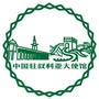 中国驻叙利亚大使馆公众号ico