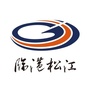 临港松江科技城ico