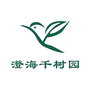 澄海千树园ico