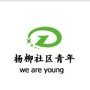 成华区杨柳社区青年ico