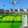 黑龙江省查哈阳农场公众号ico