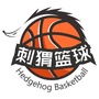 刺猬篮球ico