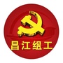 昌江组工ico