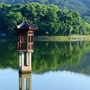 茶乡蔡榨ico
