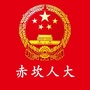 赤坎人大ico