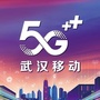 武汉移动ico