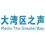 大湾区之声ico