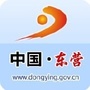 东营政府网ico