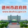 德州市政府网ico