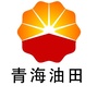 青海油田公众号ico