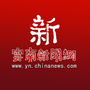云南新闻网公众号ico