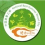 贵阳发布ico