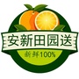 安新田园送ico