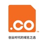 CO域名ico