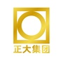 正大中东南区ico