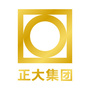 正大之窗ico