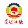 崇明政协ico