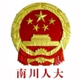 南川人大ico