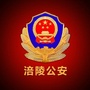 涪陵公安ico