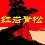 红岩青松ico
