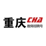 重庆市教师招聘号公众号ico