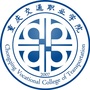 重庆交通职业学院ico