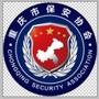 重庆保安ico