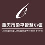 重庆市梁平智慧小镇ico