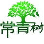 常青树旅游俱乐部ico