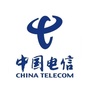 中国电信重庆公司ico