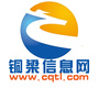 铜梁信息网ico