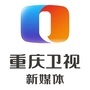 重庆卫视ico