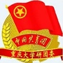 重庆大学研团委公众号ico
