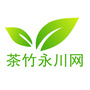 茶竹永川网ico