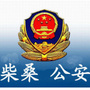 平安柴桑ico