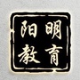 阳明教育文化传播ico