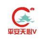 平安天心Vico