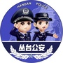 平安丛台公众号ico