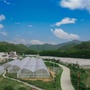 南康区赤土畲族乡杏花村ico