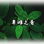 草滩之音ico