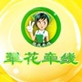 翠花牵线浙江新闻频道ico