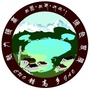 美丽错高ico