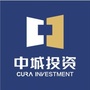 中城观点ico