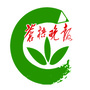 苍梧晚报小记者ico