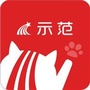 超星示范教学包ico