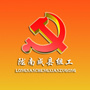陇南成县组工ico