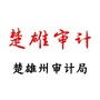 楚雄审计ico