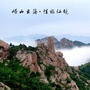青岛城阳惜福镇ico